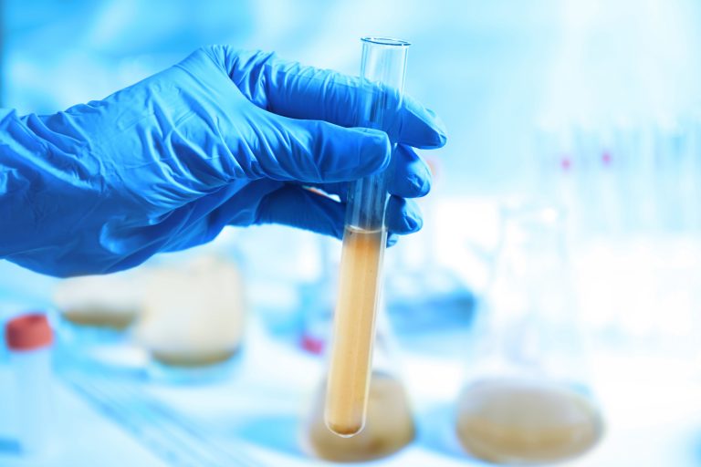 Microbiological Testing Laboratory Swab Testing Service