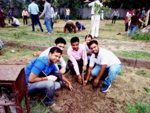 tree-plantation1