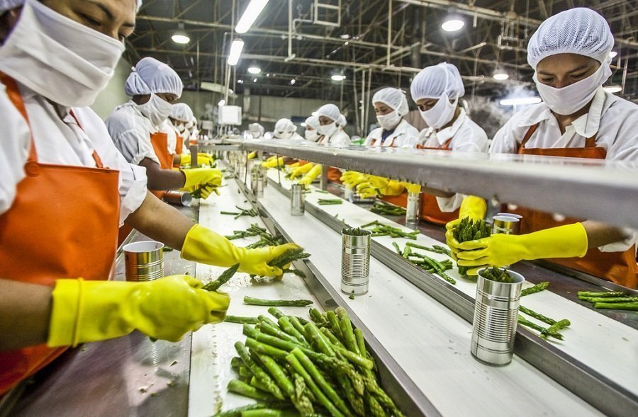 Food Processing Unit